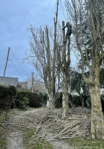 élagueur Nivillac Weiss